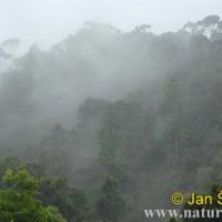 mérgezett föld, szennyezett levegő, pusztuló folyók, mérgezett növényvilág, mérgezett állatvilág, mérgezett ember, föld pusztul