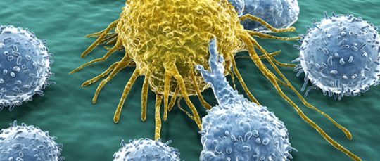 társadalom rákos, egoista emberek, önző-világ