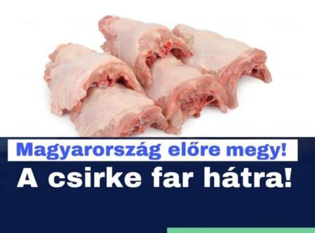12 év fideszes kormányzás után eljutottunk a csirke far-hát korszakba