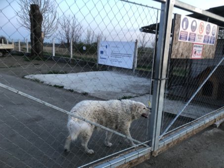 Amennyi pénzért egy átlagos magyar tanár 250 évig dolgozhat