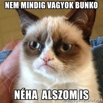 Bunkó teszt, kételkedett bunkóságába eredmény: mégis Ön egy bunkó
