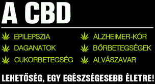 kannabisz gyógynövény hatásai, kendermag gyógynövény, CBD gyógyhatásai