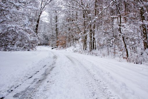 Erős fagyok jönnek, -15 foknál is hidegebb lehet néhol