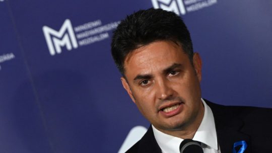 Gattyán György levelére, Márki-Zay Péter és az LMP is reagált