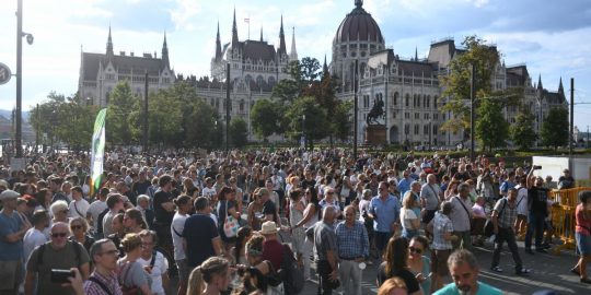 Több ezer ember tüntet a fakivágás ellen Budapesten az erdő pusztítása ellen