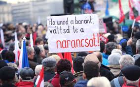 Ha unod a banánt váltsd le a narancsot - A csirkeszárnyvég hatósági áras, ha még lesz