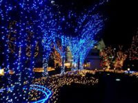 Kellemes Békés, Boldog, Karácsonyi Ünnepeket! Jézus Krisztus ünnepe!