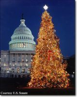 Kellemes Békés, Boldog, Karácsonyi Ünnepeket! Jézus Krisztus ünnepe!