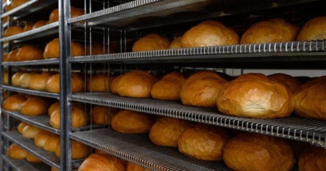 Szegény embert ág is húzza Alig bírjuk a terheket