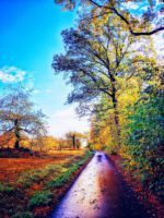 Kellemes Békés, Boldog, Karácsonyi Ünnepeket! Jézus Krisztus ünnepe!