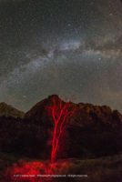 Kellemes Békés, Boldog, Karácsonyi Ünnepeket! Jézus Krisztus ünnepe!