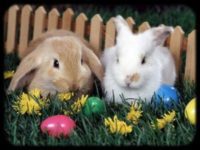 húsvét ünnepe, húsvétnapja, húsvéti locsoló versek, húsvét Jézus ünnepe