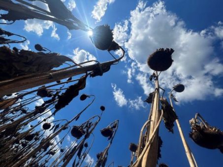  A kormány intézkedései emelik még feljebb és feljebb az élelmiszerárakat